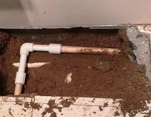 威海测漏水哪家好