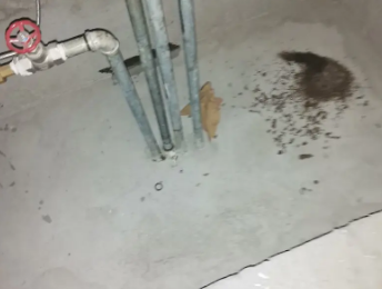 威海卫生间测漏水价格明细